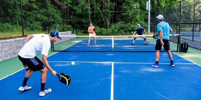Pickleball Badminton court